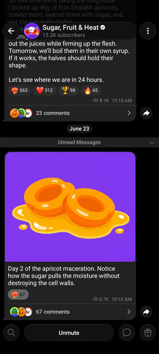 Grayscale Telegram theme Android Channel screenshot