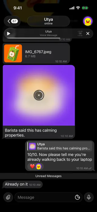 Grayscale Telegram theme iOS Utya screenshot